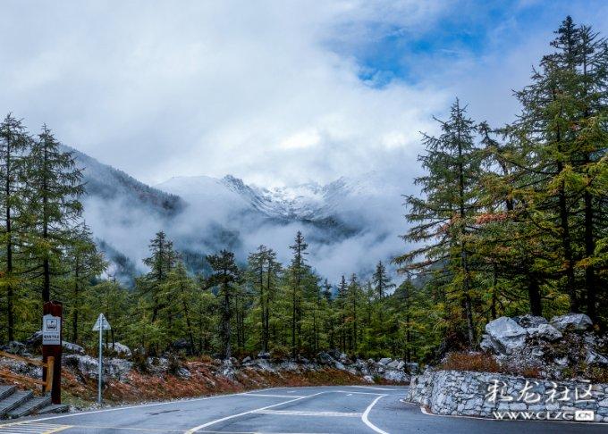 逃离绿色山谷